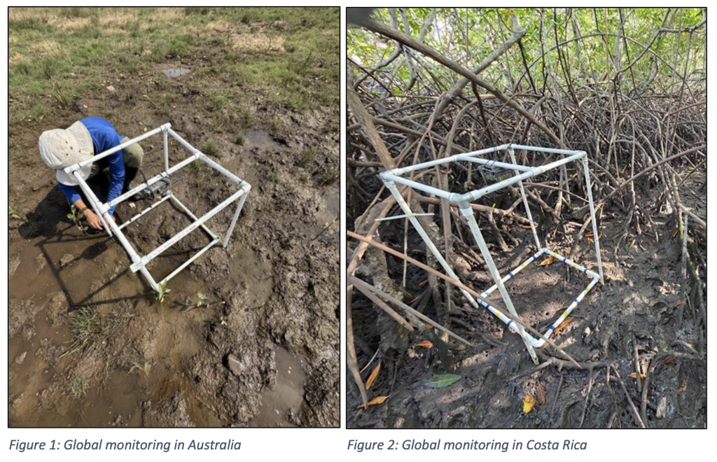 Costa Rica + Australia fieldwork